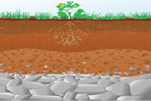 Agriculture Soil Degration